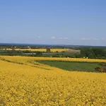 Cozy Baltic Escape For 2 Guests * Kägsdorf
