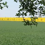 Cozy Baltic Escape For 2 Guests Kägsdorf