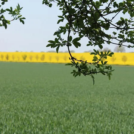 Cozy Baltic Escape For 2 Guests Kägsdorf