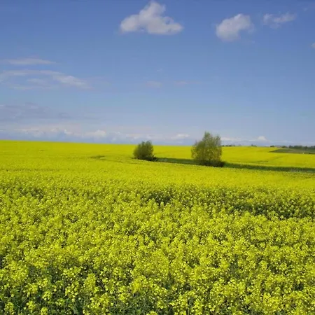 Cozy Baltic Escape For 2 Guests בית נופש *
